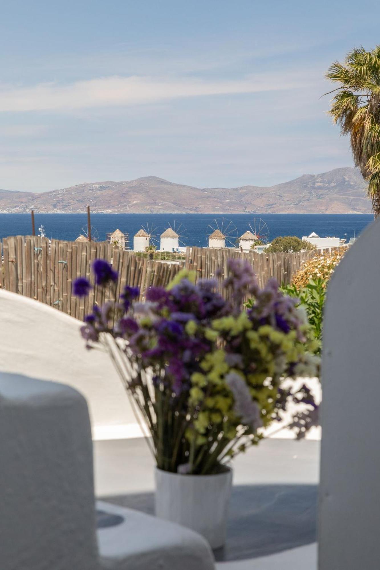 Dimele Aparthotel Mykonos Town Exterior foto